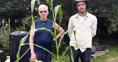A photo of two people standing in front of a corn stalk.