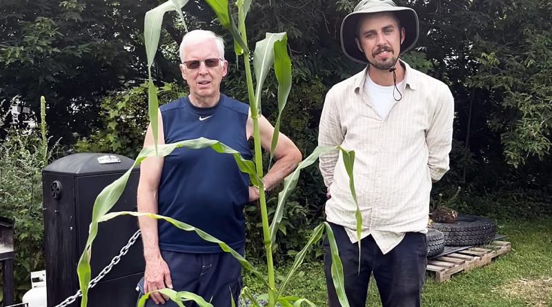 A photo of two people standing in front of a corn stalk.