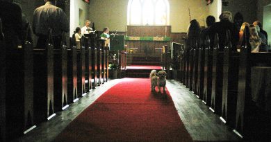 A photo of a dog in church.