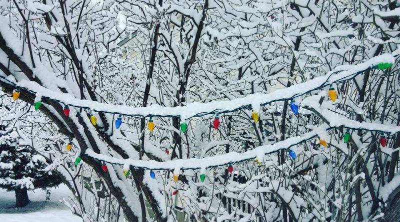 a photo of snow-covered Christmas lights.
