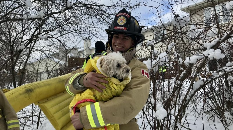 A firefighter holds a dog.