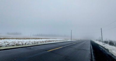 A photo of a foggy road.