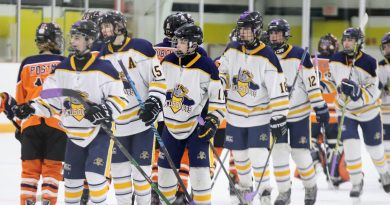 Two teams shake hands.