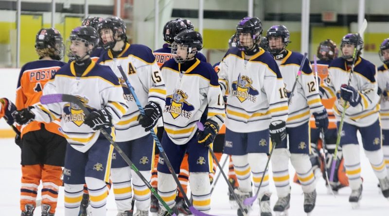 Two teams shake hands.