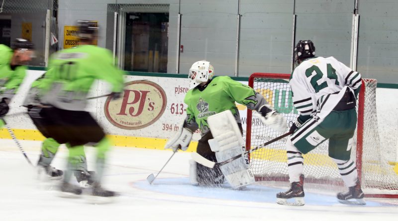 A photo of a goalie making a save.