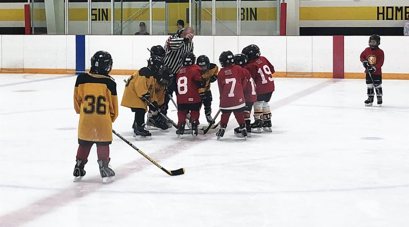 A photo of a young group of hockey players.