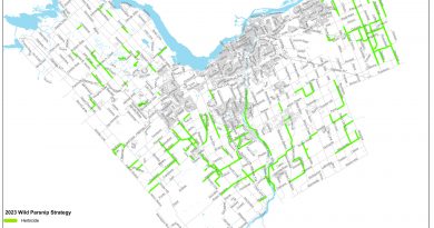 A map of where spraying will occur in Ottawa.