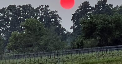 A photo of a very red sun.
