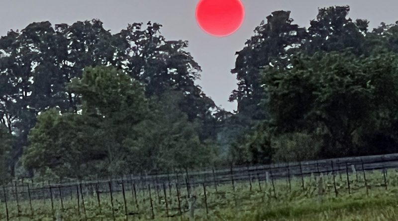 A photo of a very red sun.
