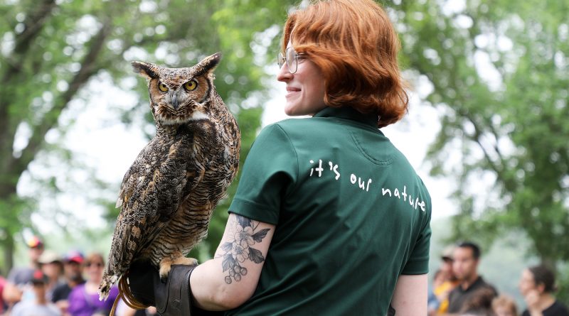 A photo of an owl perched on a person's arm.