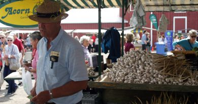 A photo of a garlic vendor.