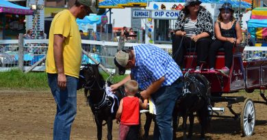 A boy pins a ribbon on a tiny horse.