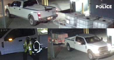 A collage of photos of a suspect truck.