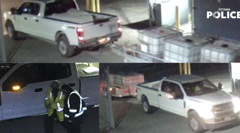 A collage of photos of a suspect truck.