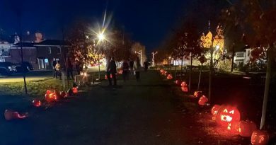 A photo of a promenade lined with pumpkins.