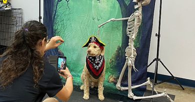 A dog poses for a Hallowe'en photo.