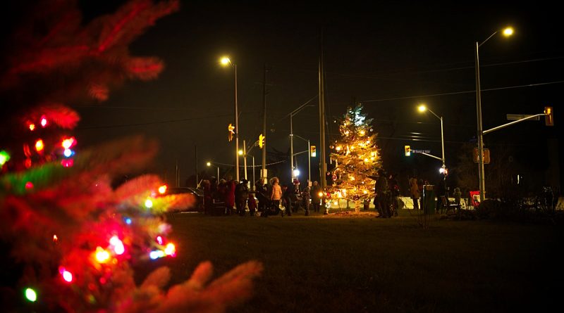 A photo of a lit Christmas tree