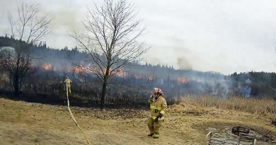 A fireman douses a brush fire.