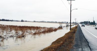 A photo of a flooded farmer's field.