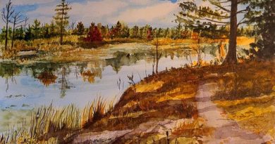 A painting of the Carp Barrens Trail.
