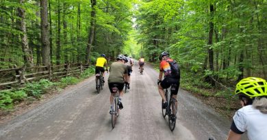 Cyclists ride through a forest.