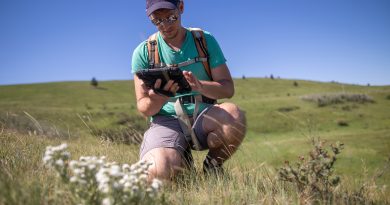 a man looks at a tablet in the wild.