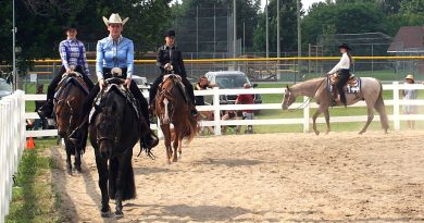 Horses trot in a ring.