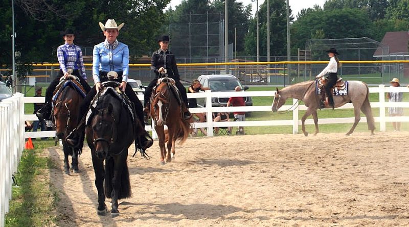 Horses trot in a ring.