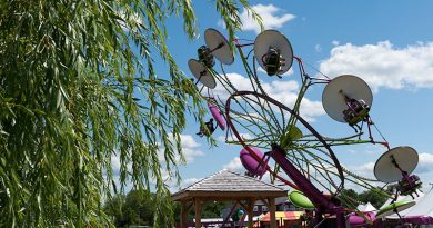 A photo of an amusement ride.