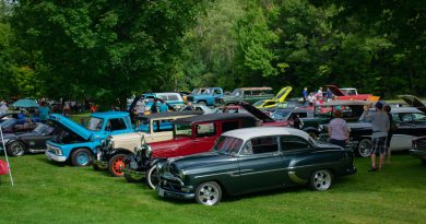 A photo of cars in a park.