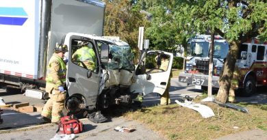 Firefighters rescue a motorist.