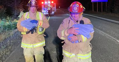 Two firefighters hold cats.