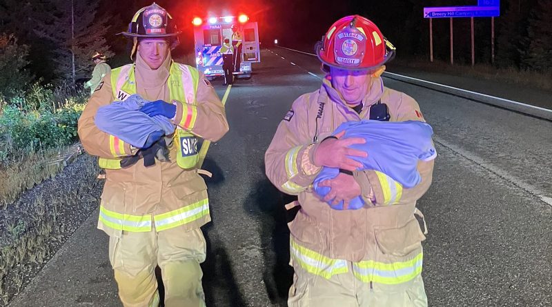 Two firefighters hold cats.