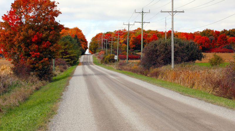 A photo of fall colours.