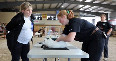 A woman shows off a bunny to a jjudge.