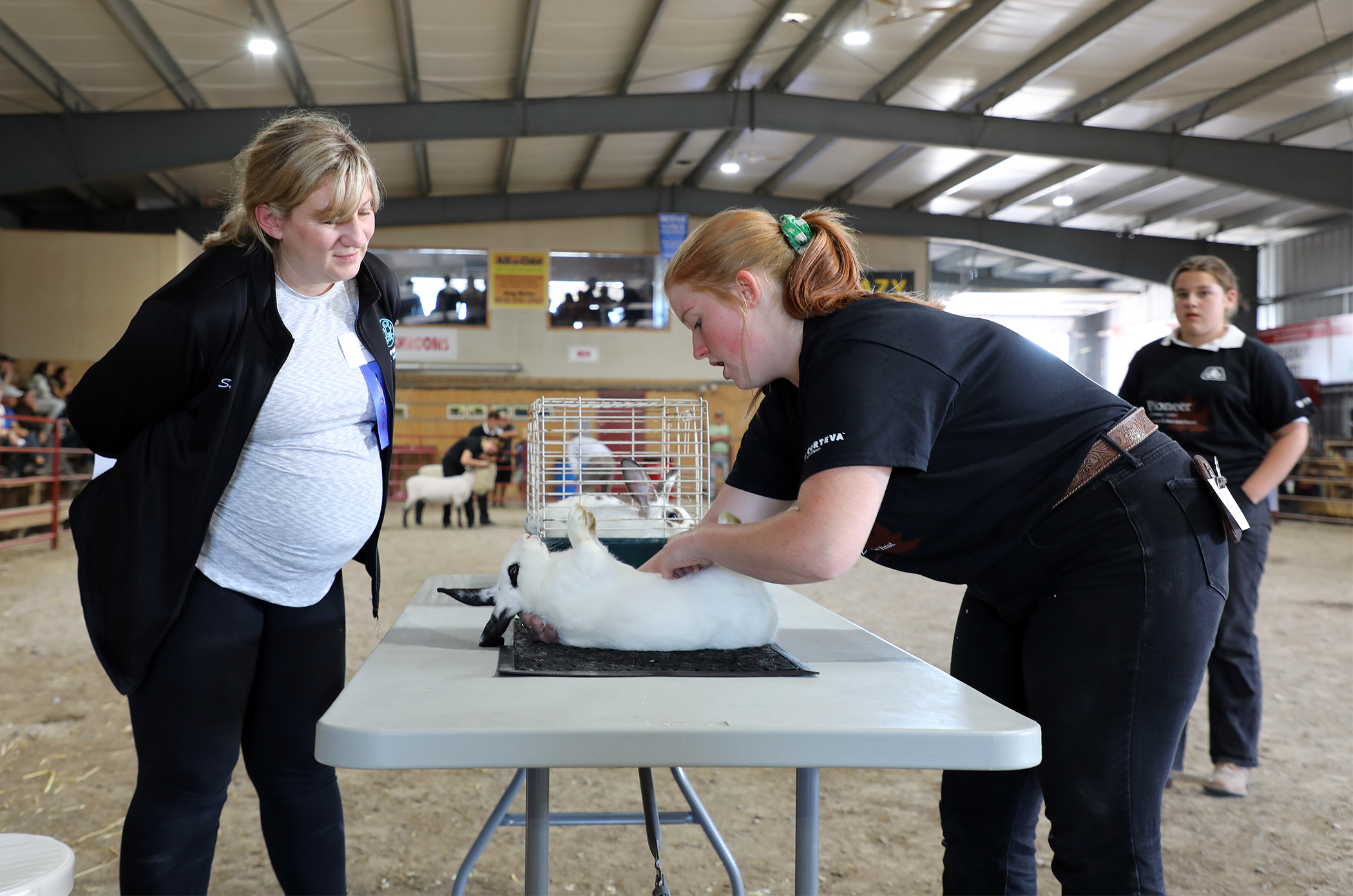 4-H Carp Fair showdown a repeat winner