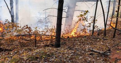 A photo of a bush fire.