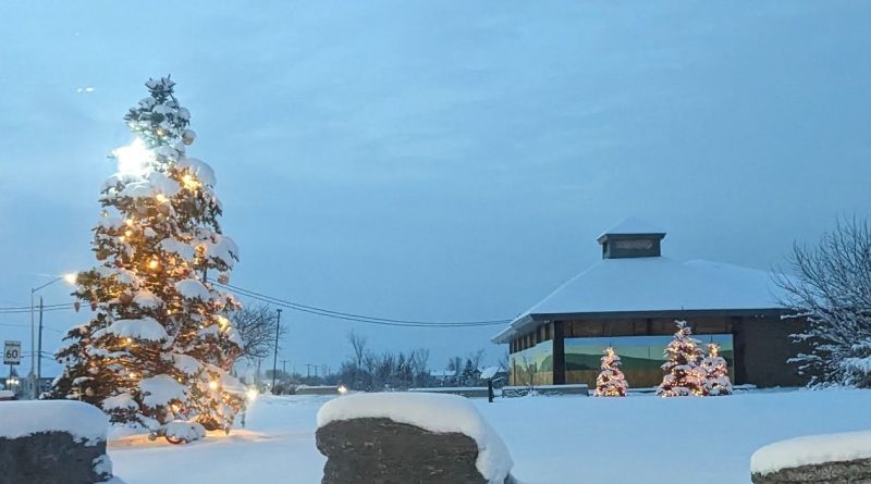 A brightly lit tree in Dunrobin.