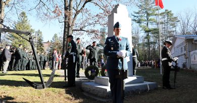 Two soldiers salute a Cenotaph.