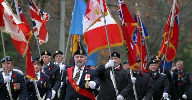 A photo of a Remembrance Day parade.