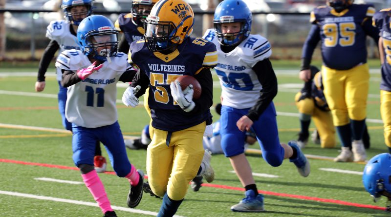 A football player runs with the ball.