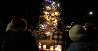 People watch a Christmas tree get lit up.