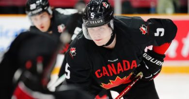 A hockey player gets ready for a faceoff.