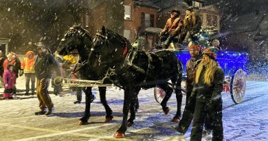 Horses and a buggy travel down a snowy road.