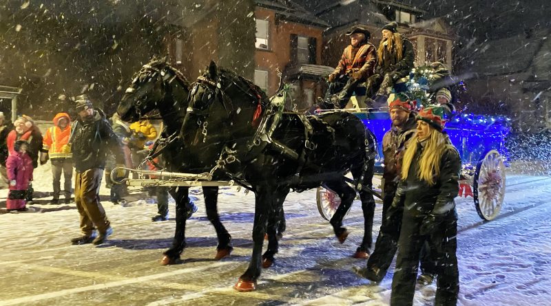 Horses and a buggy travel down a snowy road.