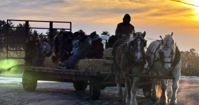 A photo of people taking a wagon ride.