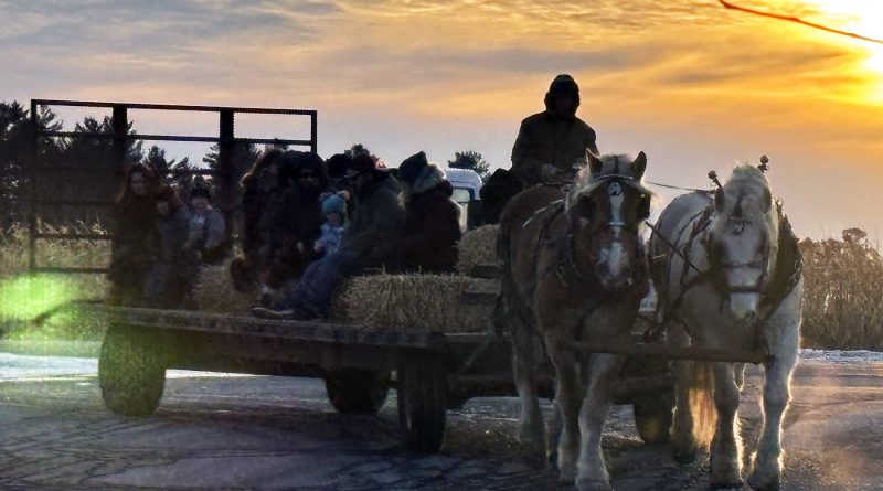 A photo of people taking a wagon ride.