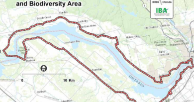 A map of an Important Biodiversity Area in the Ottawa region.