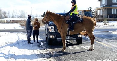 A woman on a horse talks to Dunrobin residents.