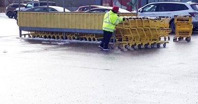 An employee pushes shopping carts.